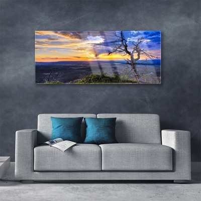 Obraz Akrylowy Drzewo Zachód Słońca