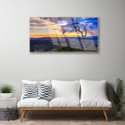 Obraz Akrylowy Drzewo Zachód Słońca