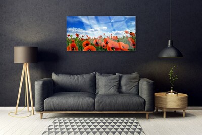 Obraz Akrylowy Łąka Maki Kwiaty