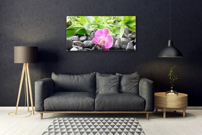 Obraz Akrylowy Kwiaty Orchidea Roślina
