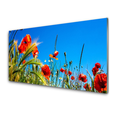 Obraz Akrylowy Kwiaty Maki Pole Trawy