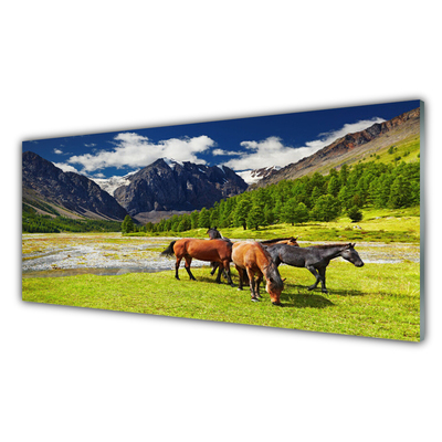 Obraz Akrylowy Góry Drzewa Konie Zwierzęta