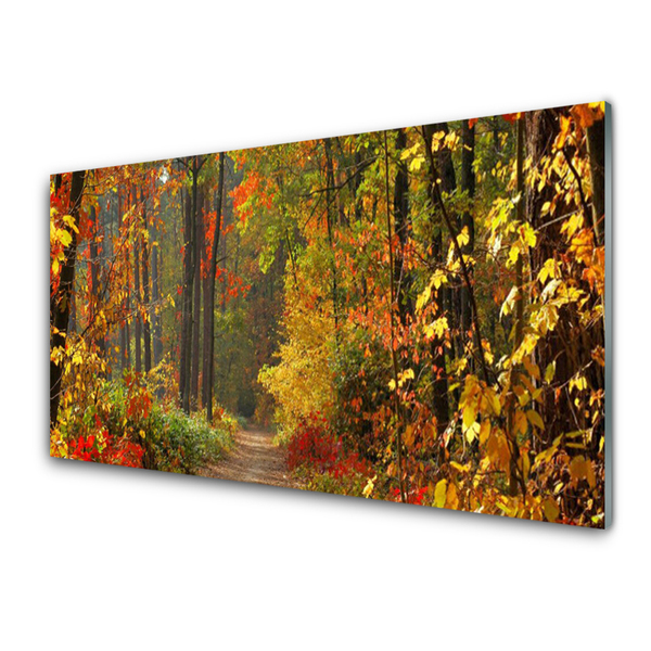 Obraz Akrylowy Las Natura Jesień