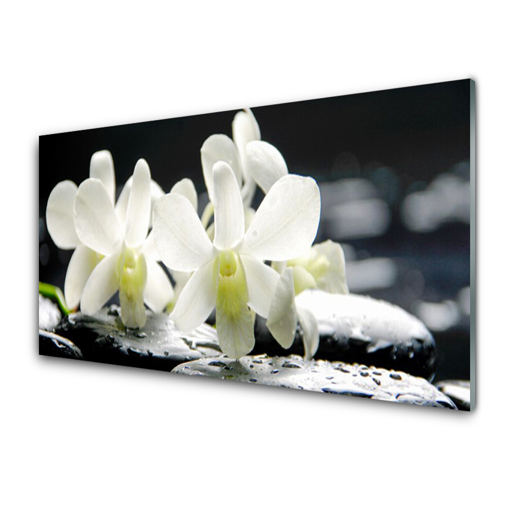 Obraz Akrylowy Kamienie Kwiaty Orchidea