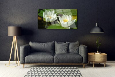Obraz Akrylowy Kwiaty Rośliny Przyroda