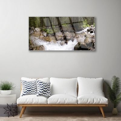 Obraz Akrylowy Las Rzeka Wodospady