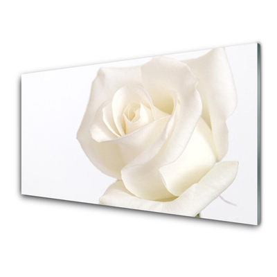 Obraz Akrylowy Róża Kwiaty