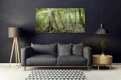 Obraz Akrylowy Las Natura Dżungla Drzewa