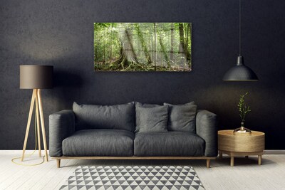 Obraz Akrylowy Las Natura Dżungla Drzewa