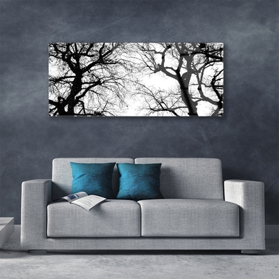 Obraz Akrylowy Drzewa Natura Czarno-Biały