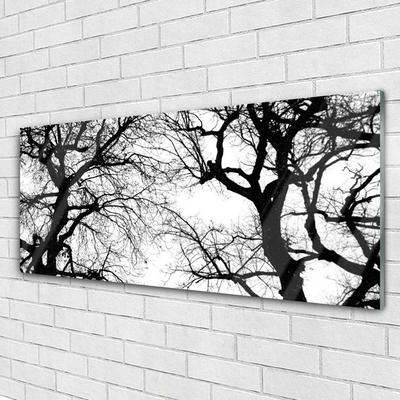 Obraz Akrylowy Drzewa Natura Czarno-Biały