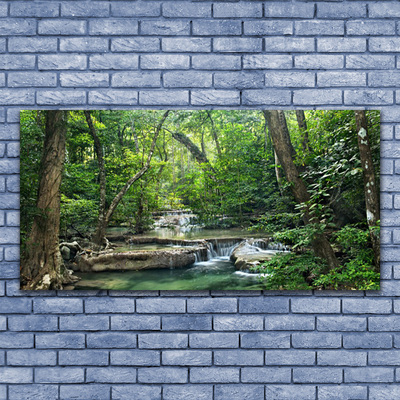 Obraz Akrylowy Leśny Las Natura Przyroda