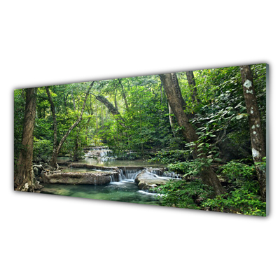 Obraz Akrylowy Leśny Las Natura Przyroda