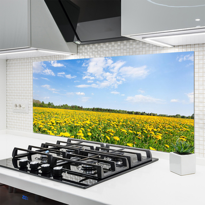 Panel Szklany do Kuchni Słoneczna Łąka Mniszków