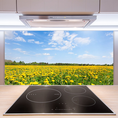Panel Szklany do Kuchni Słoneczna Łąka Mniszków