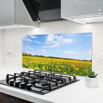 Panel Szklany do Kuchni Słoneczna Łąka Mniszków