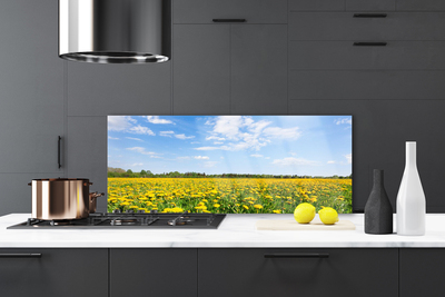 Panel Szklany do Kuchni Słoneczna Łąka Mniszków