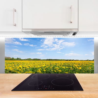 Panel Szklany do Kuchni Słoneczna Łąka Mniszków