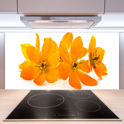 Panel Szklany do Kuchni Pomarańczowa Kompozycja Botaniczna