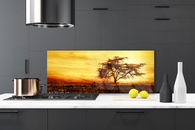 Panel Szklany do Kuchni Samotne Drzewo W Rozkwicie