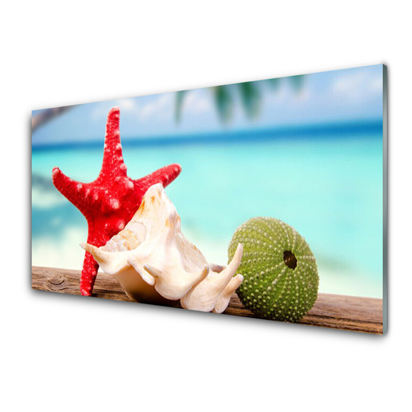 Panel Kuchenny Skarby Oceanicznej Głębi