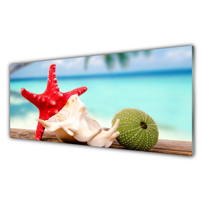 Panel Kuchenny Skarby Oceanicznej Głębi