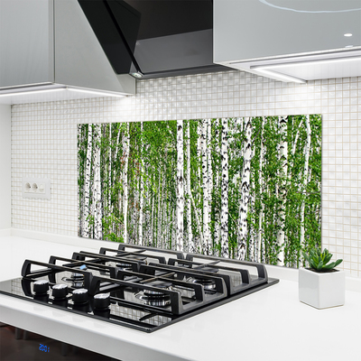 Panel Szklany do Kuchni Świetlisty Las Brzozowy