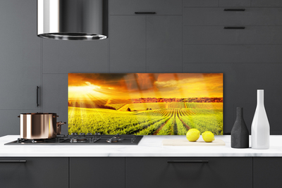 Panel Kuchenny Złota Godzina Nad Polem