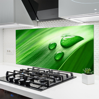 Panel Szklany do Kuchni Perlista Rosa Na Liściu