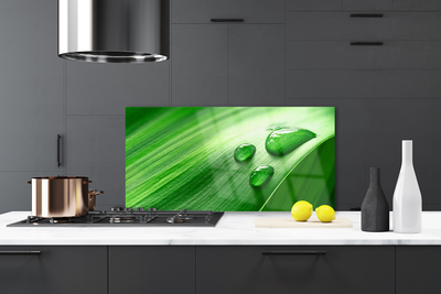 Panel Szklany do Kuchni Perlista Rosa Na Liściu