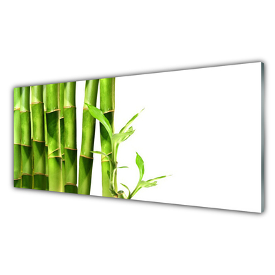 Panel Kuchenny Bambus Roślina