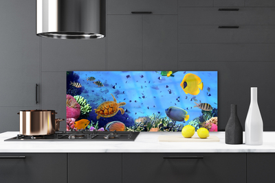 Szkło do Kuchni na Ścianę Podwodny Świat Rafy Koralowej