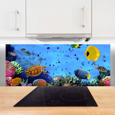 Szkło do Kuchni na Ścianę Podwodny Świat Rafy Koralowej