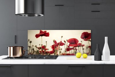 Panel Kuchenny Polne Maki W Rozkwicie