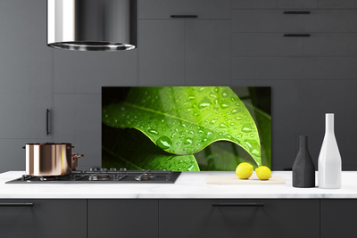 Panel Kuchenny Krople Porannej Rosy