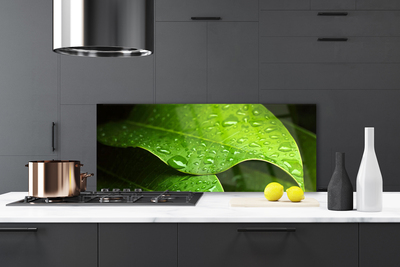 Panel Kuchenny Krople Porannej Rosy