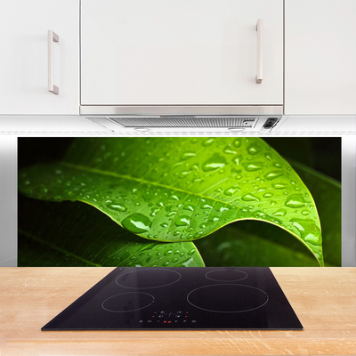 Panel Kuchenny Krople Porannej Rosy