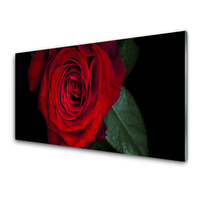 Panel Szklany do Kuchni Elegancka Róża W Zbliżeniu