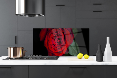 Panel Szklany do Kuchni Elegancka Róża W Zbliżeniu