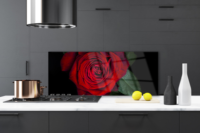 Panel Szklany do Kuchni Elegancka Róża W Zbliżeniu