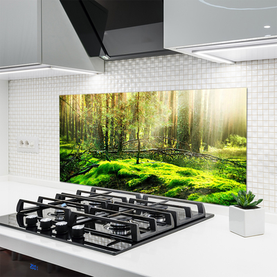 Panel Szklany do Kuchni Naturalny Zielony Mech