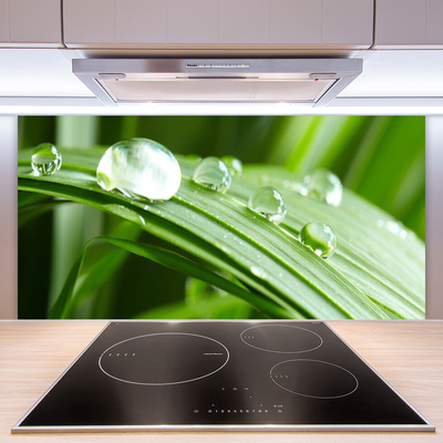 Szkło do Kuchni na Ścianę Kropla Rosy W Makrofotografii