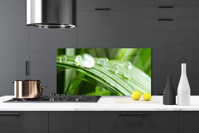 Szkło do Kuchni na Ścianę Kropla Rosy W Makrofotografii