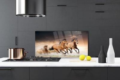 Szkło Ozdobne do Kuchni Dzikie Konie W Galopie