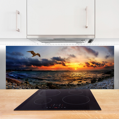 Panel Kuchenny Mewa Nad Brzegiem Oceanu