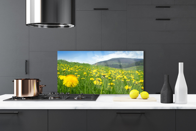 Szkło do Kuchni na Ścianę Polny Urok Mniszka