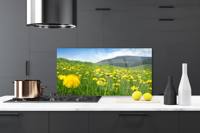 Szkło do Kuchni na Ścianę Polny Urok Mniszka