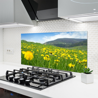 Szkło do Kuchni na Ścianę Polny Urok Mniszka