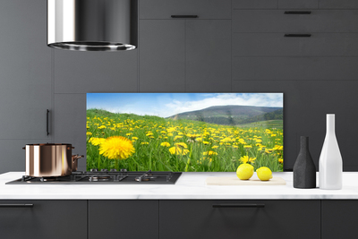 Szkło do Kuchni na Ścianę Polny Urok Mniszka