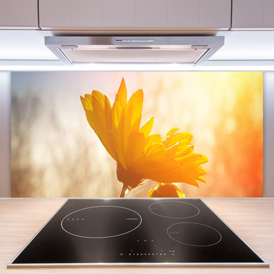 Szkło do Kuchni na Ścianę Złoty Słonecznik W Słońcu